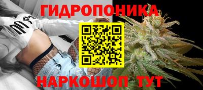 твердый Заводоуковск