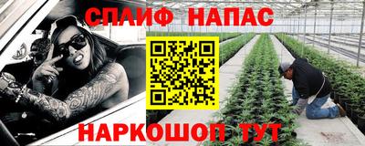 твердый Заводоуковск
